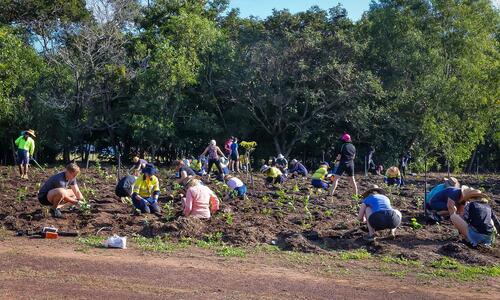Darwin residents are invited to help create a greener city at a community planting day to be held at East Point Reserve this Saturday, 25 May 2024