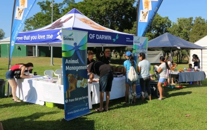 City of Darwin - News article - Free Micro-Chipping at Pets Day Out Event
