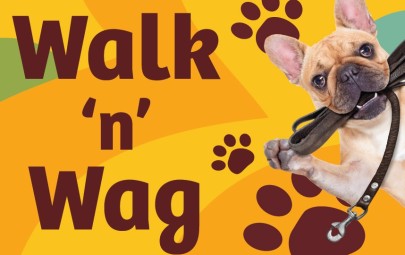 City of Darwin - News article - Come and Join Walk ‘N Wag