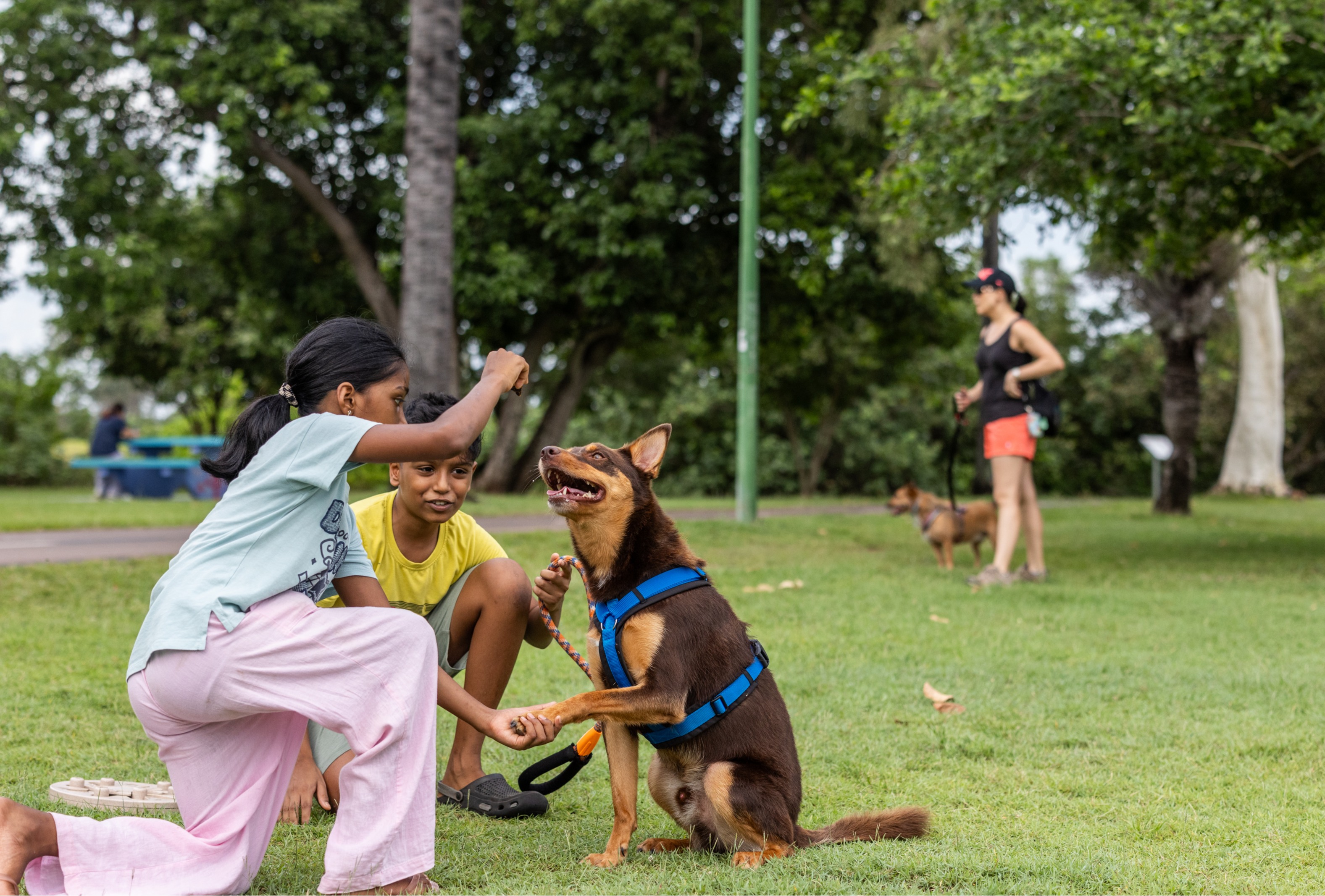 Kids playing with a pet dog