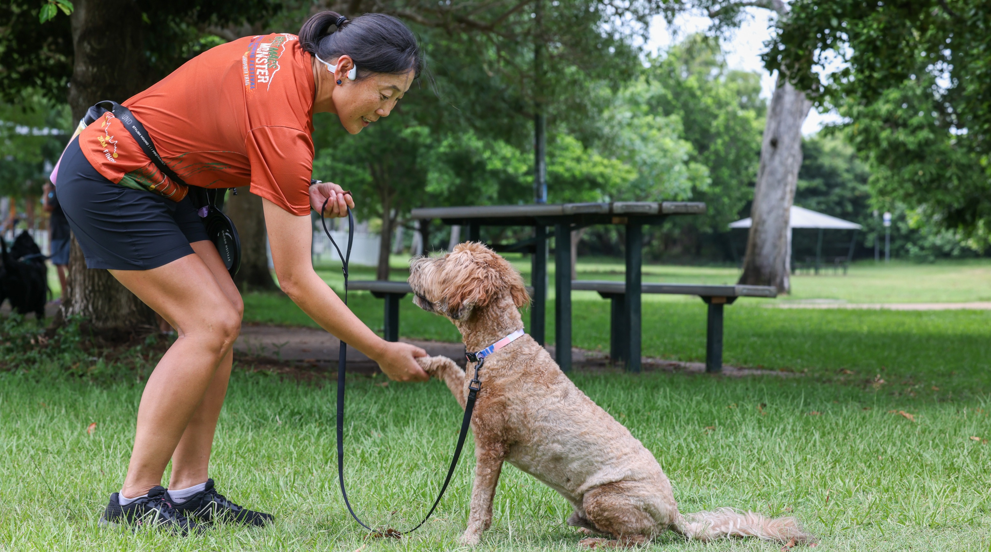 Dog and trainer