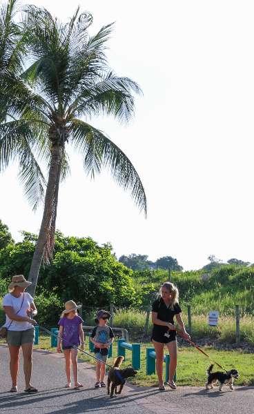 Walk n Wag at Mindil Beach