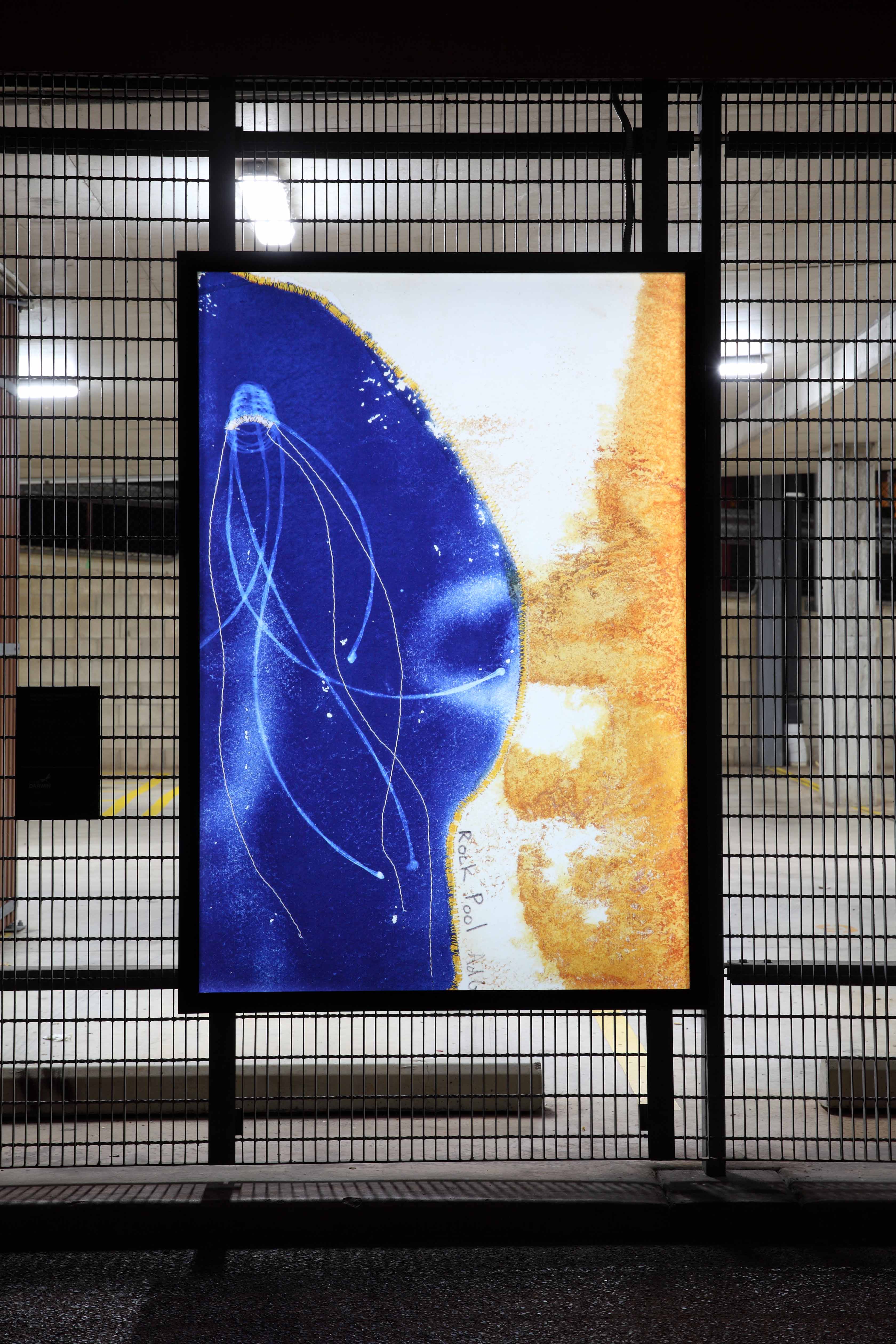 Lightbox exhibitions by Fiona Morrison
