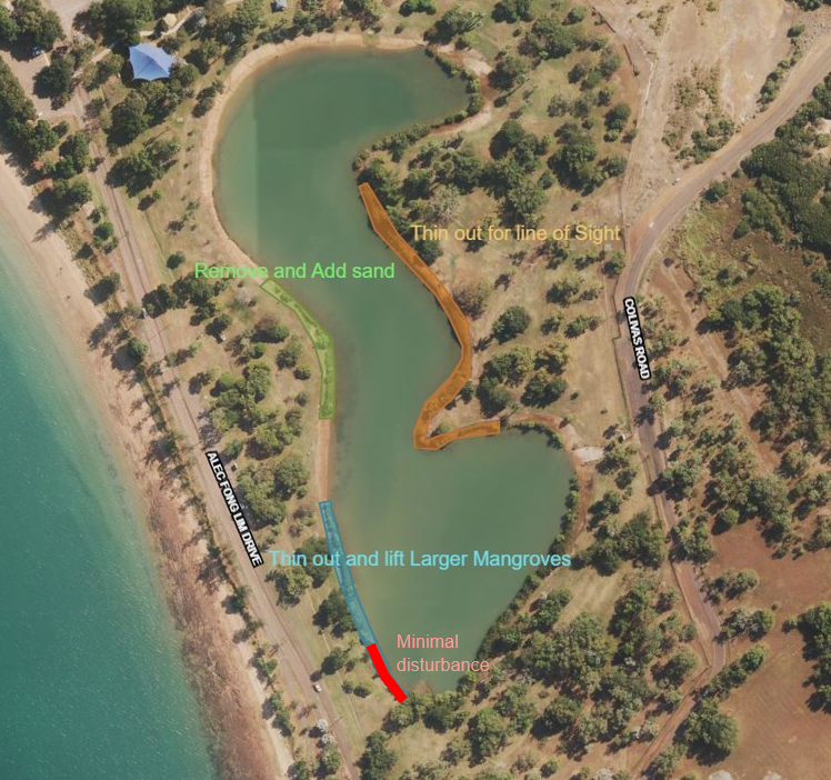 Lake Alexander mangrove management