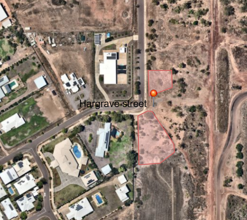 Muirhead tree planting