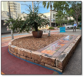 Existing Tree Pit