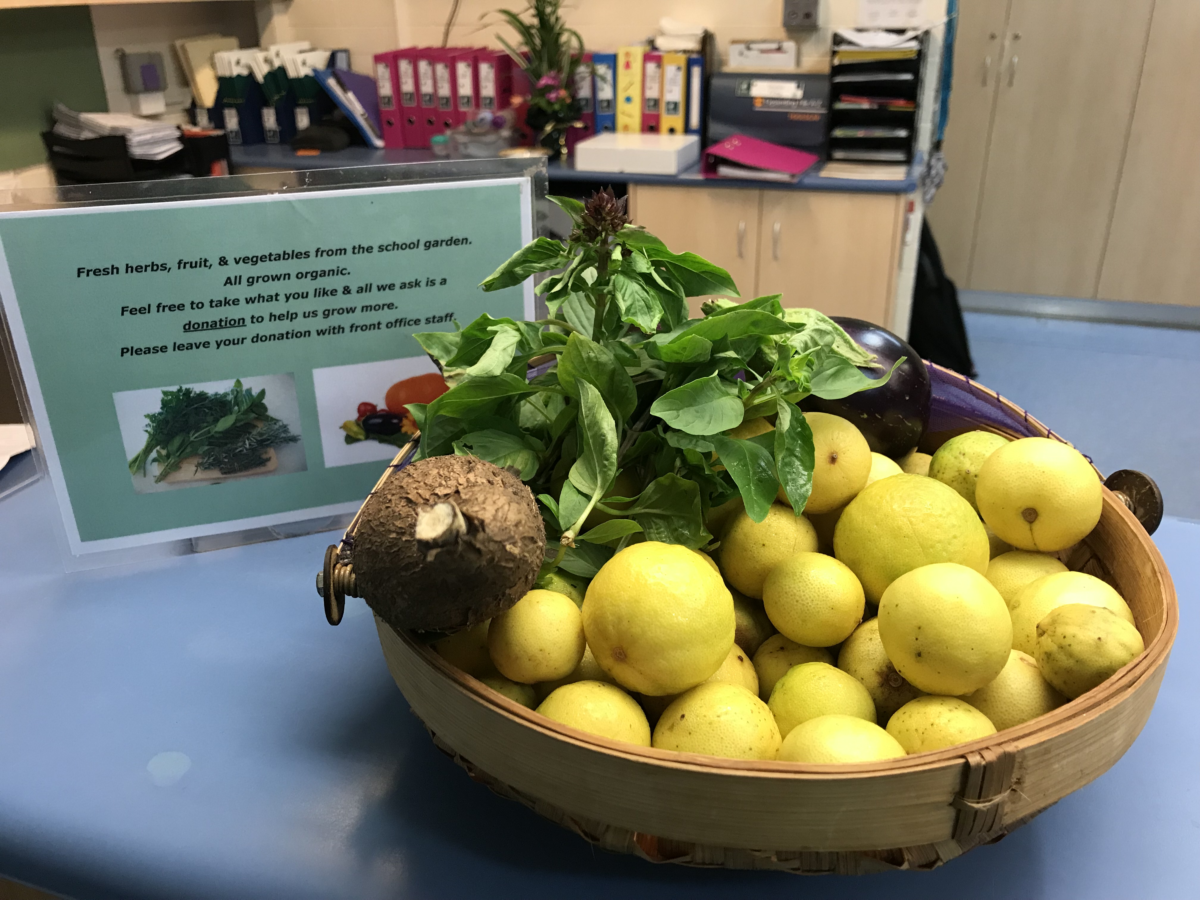 Fruit basket