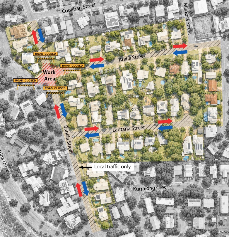 Aralia Street and Banksia Street roundabout