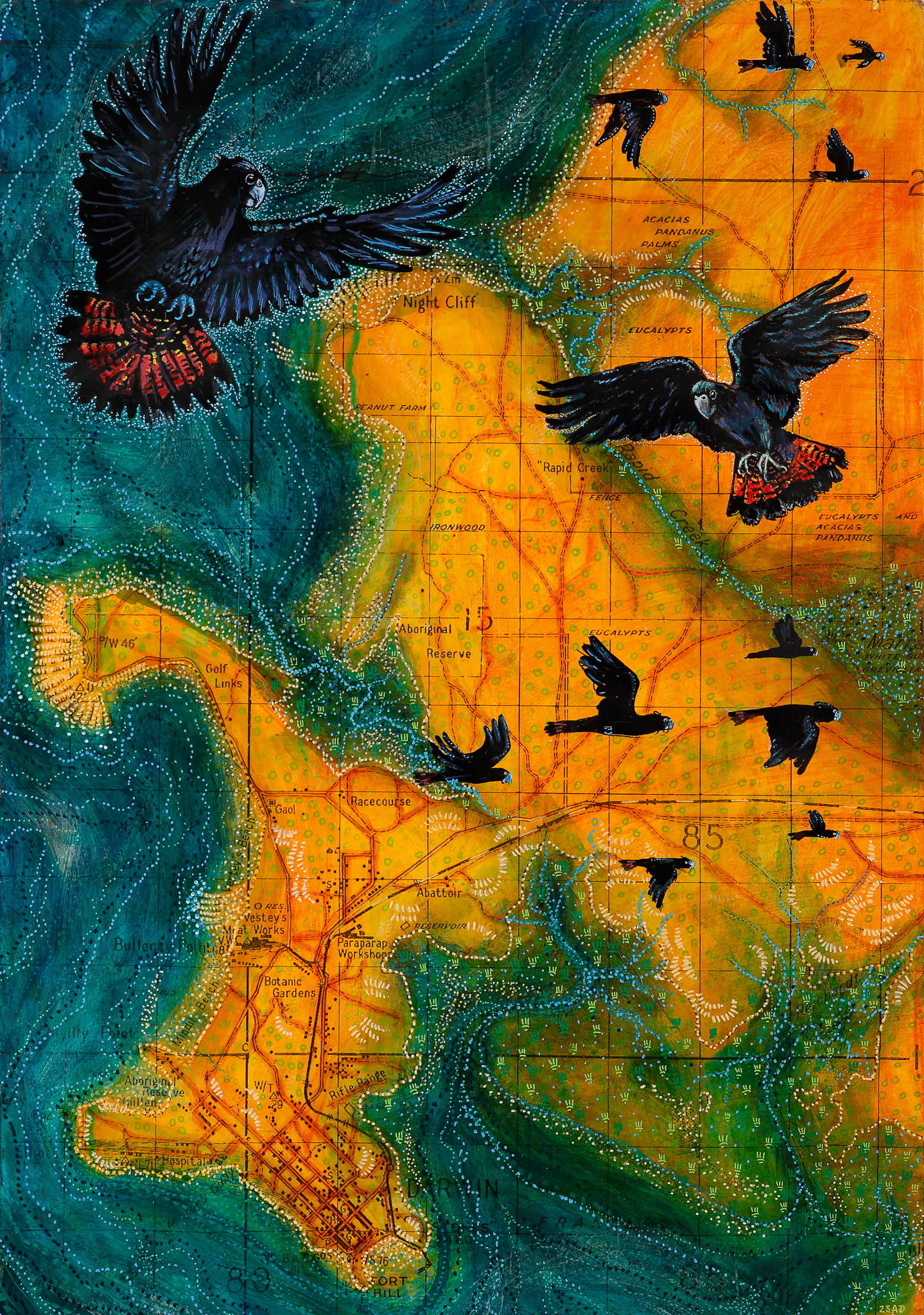 Flock of Red-Tailed Black Cockatoos over 1938 Map of Darwin