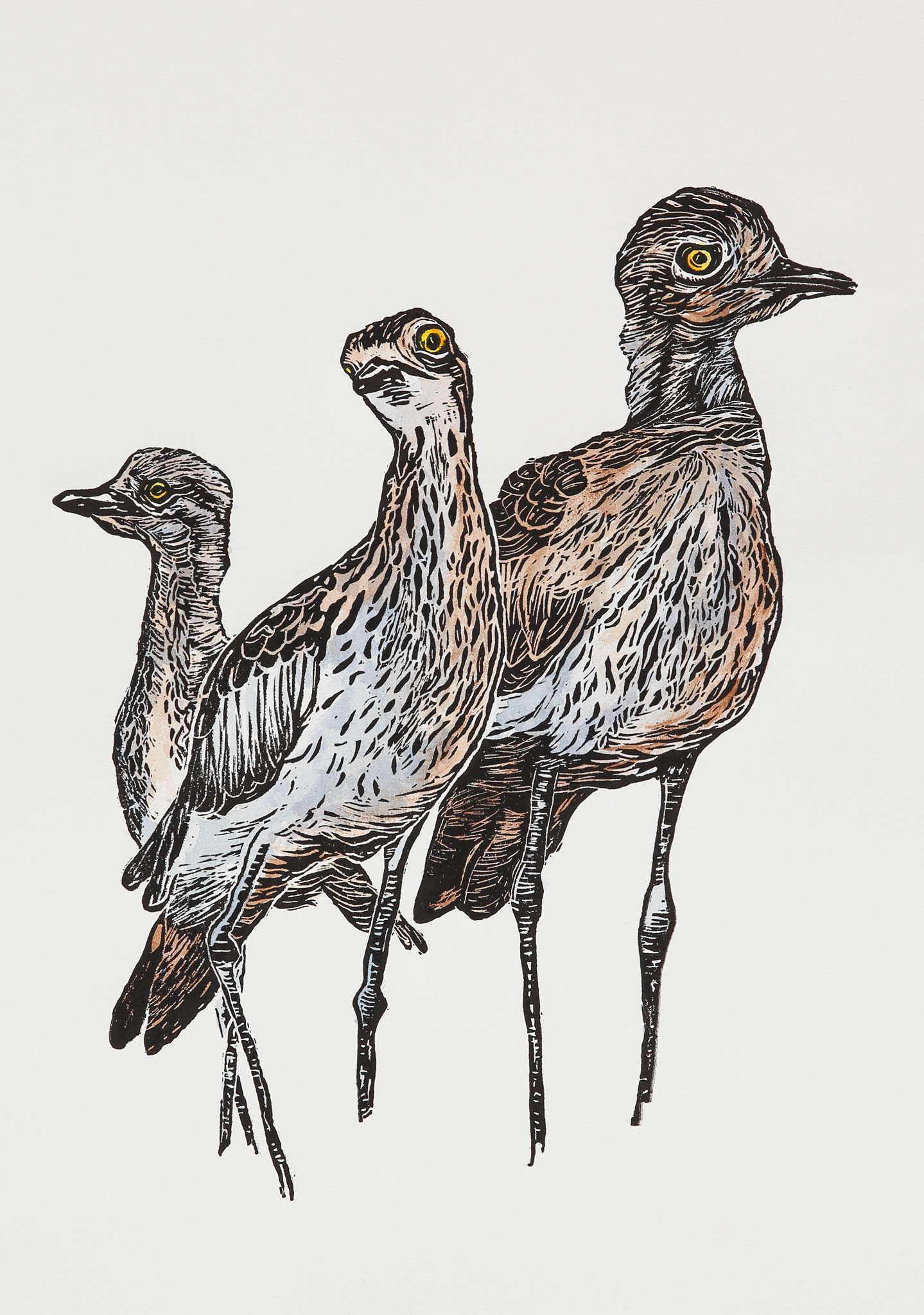 Curlew Family Portrait