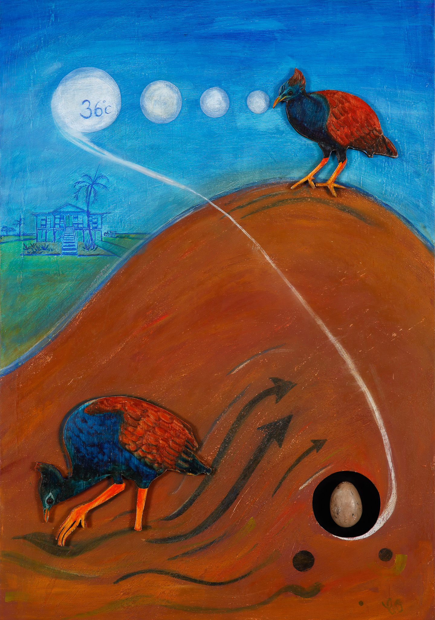 Bush Chook Thomas Higgs