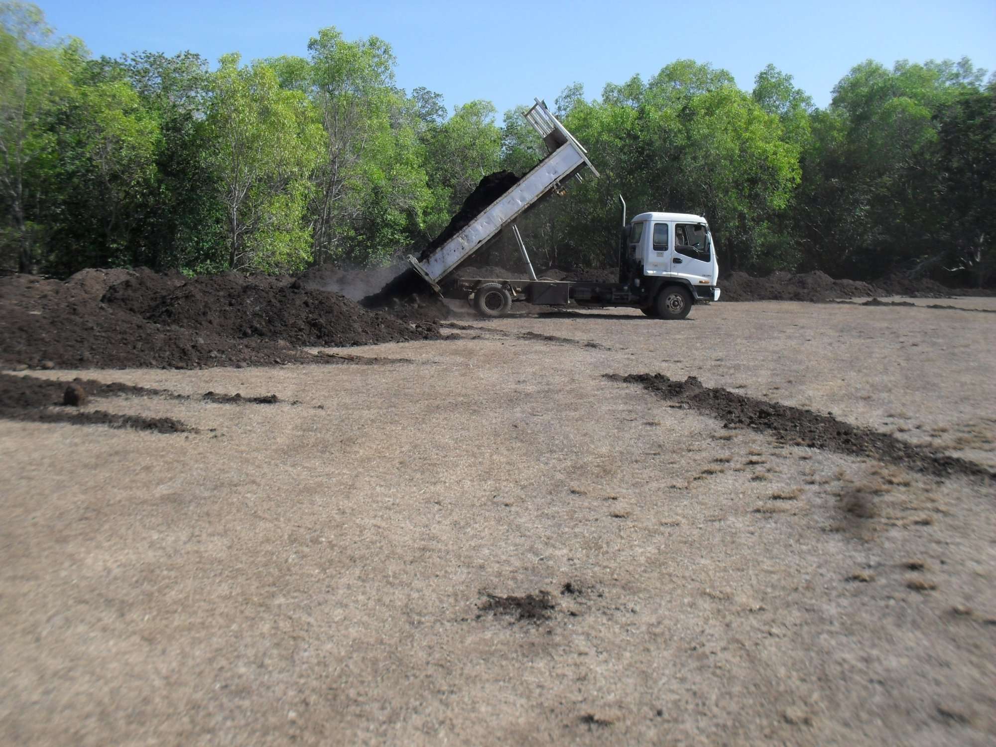Stage 1 preparing the soil - revegitation of monsoon rainforest at East Point Reserve