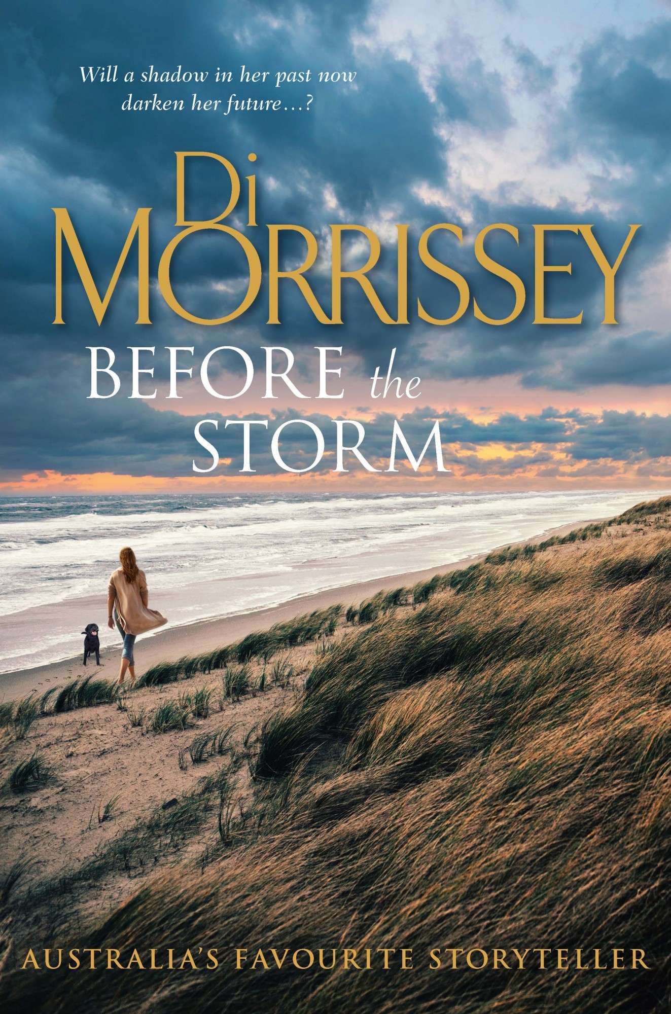 City of Darwin - Book - Before The Storm