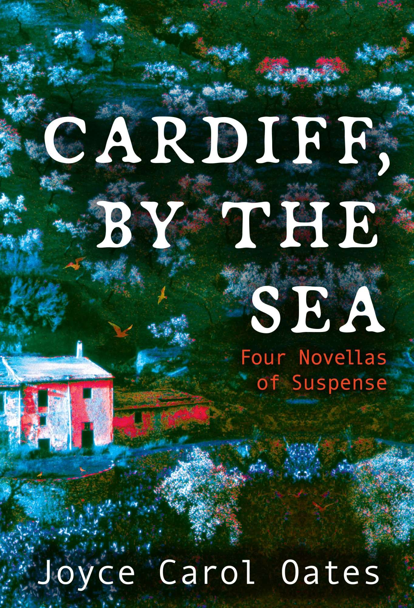 City of Darwin - Book - Cardiff By The Sea