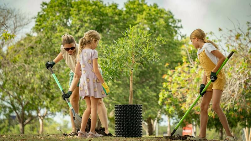 Community Planting Day
