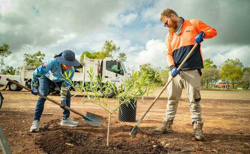 Community Planting Day