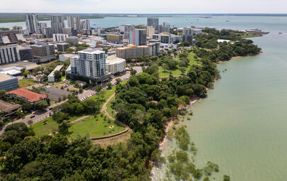 City of Darwin is calling for community members to express their interest in joining the Tree Advisory Committee to help make Darwin a cool, clean and green city.