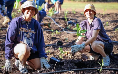 community tree planting