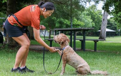 Dog trainer
