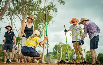 Community planting
