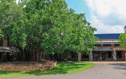 City of Darwin is inviting the community to help shape one of the city's future landmark public spaces, with consultation now open on the new Civic Centre Community Plaza