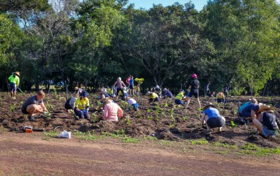 Planting Day and Giveaway this Saturday