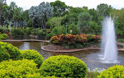 City of Darwin will soon start staged drainage works at Jingili Water Gardens to improve water flow and reduce stagnant water across the gardens.