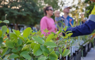 Native plant giveaways return for 2023