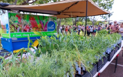 City of Darwin Native Plant Giveaway