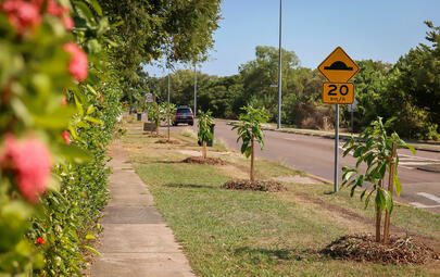 street verge in Rapid Creek suburb