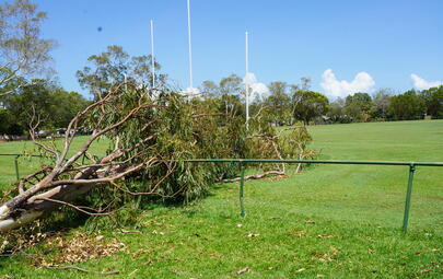 Cyclone Fina recovery: Various sporting ovals reopen  