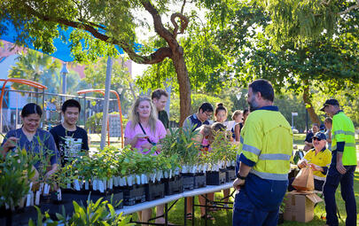 Free native plants available for Darwin residents 