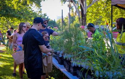 City of Darwin’s popular native plant giveaway program continues, with more than 2000 native plants available on Saturday 10 August at the Jingili Water Gardens