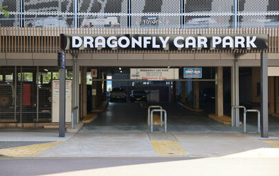 Dragonfly Car Park 