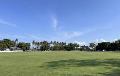 Removal of ageing coconut trees at Kahlin Oval 