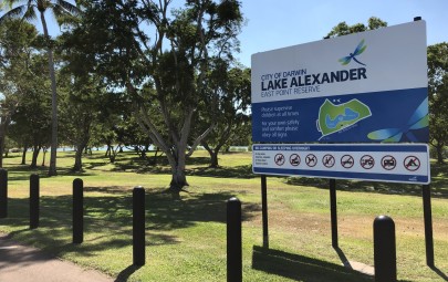 Lake Alexander closed for swimming