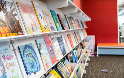 Library shelves