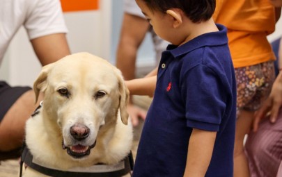 image of people around a therapy dog