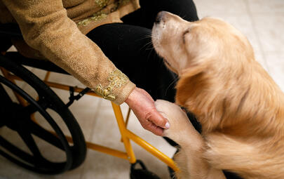 person in wheelchair holding a dogs paw