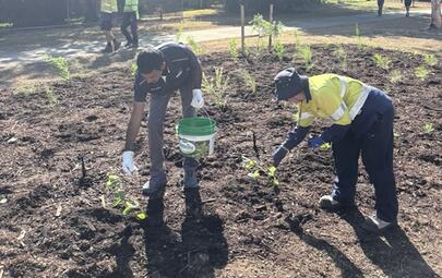 City of Darwin is inviting residents to roll up their sleeves and help create a greener Anula at a Community Planting Day on Saturday 10 October 2026.