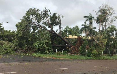 City of Darwin - News article - Green Waste on Verges