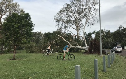 City of Darwin - News article - Update on Council Services Post Cyclone Marcus
