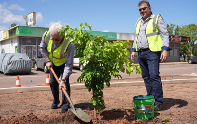 City of Darwin - News article - Suburban Streetscape Beautification Progam Begins