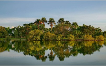 City of Darwin - News article - Lake Alexander closed to all water activities 