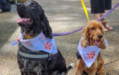 City of Darwin - News article - City Dog Park A Furry Step Closer