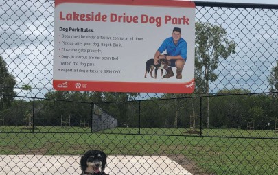 City of Darwin - News article - Lakeside Drive Dog Park Opens 