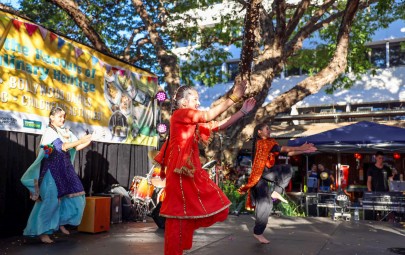 Indian Street Food Festival