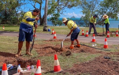 Greening Darwin