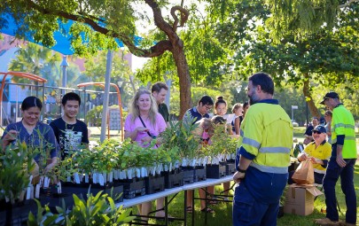 Native plant giveaway