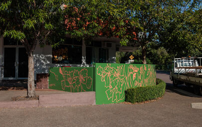 Flora of Nightcliff Streets, Hand Painted Mural, Aralia Street 02